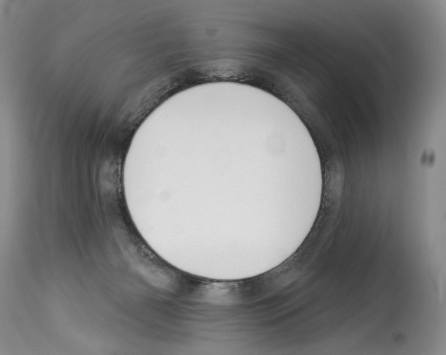 X0000114070126200911161201