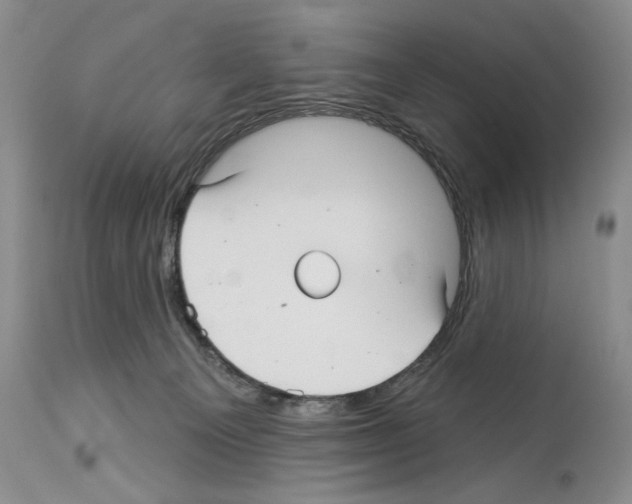 X0000114070129200911161201