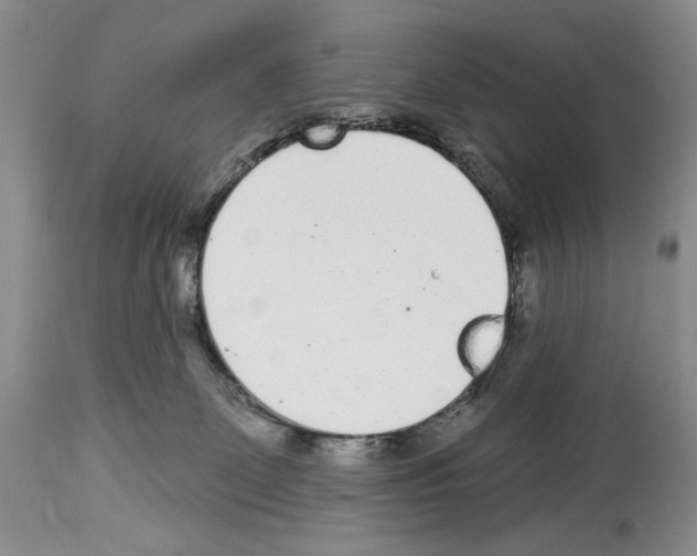 X0000114070131200911161201