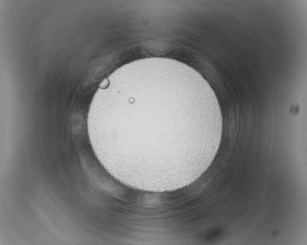 X0000114070134200911161201