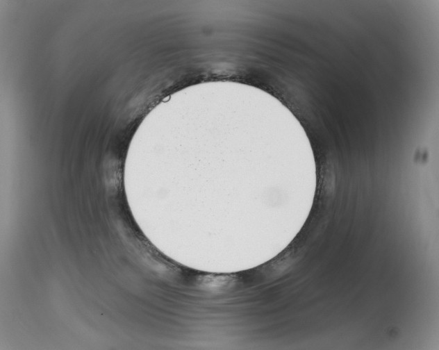 X0000114070135200911161201