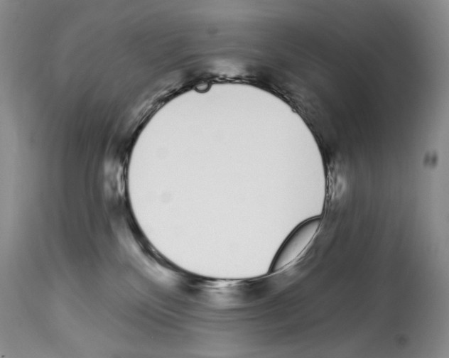 X0000114070136200911161201