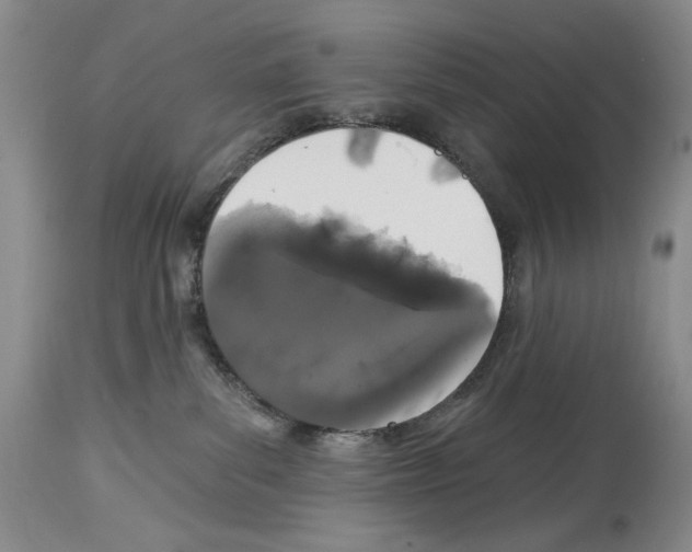 X0000114070139200911161201