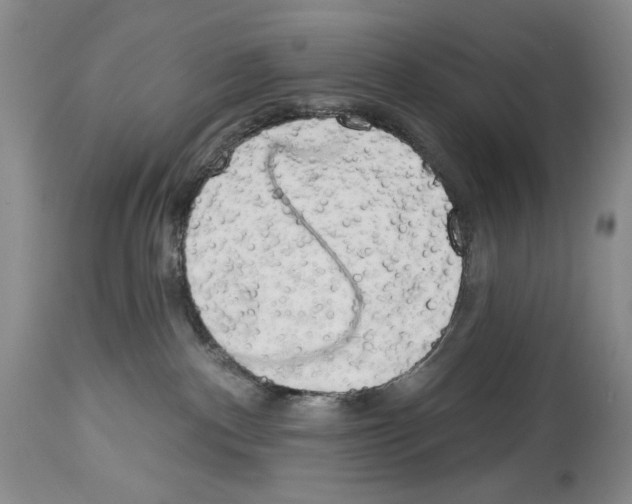 X0000114070140200911161201