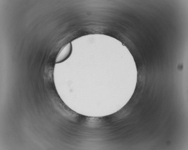 X0000114070141200911161201