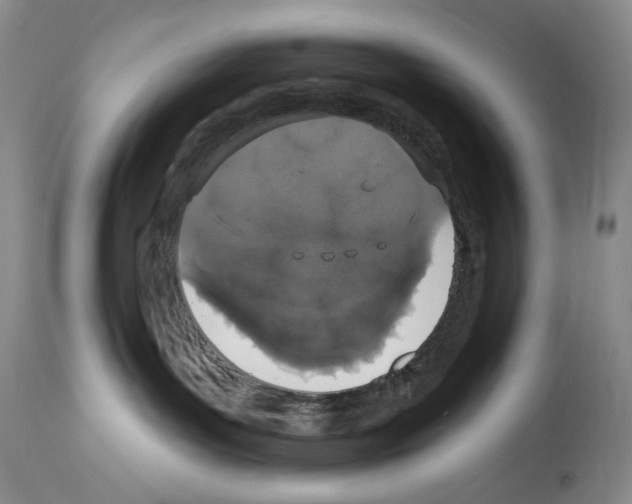 X0000114070143200911161201