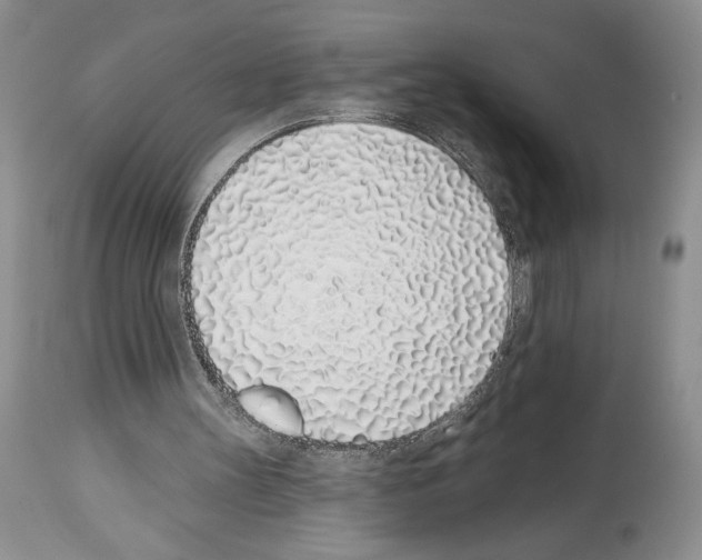 X0000114070147200911161200