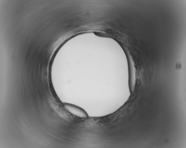 X0000114070148200911161200