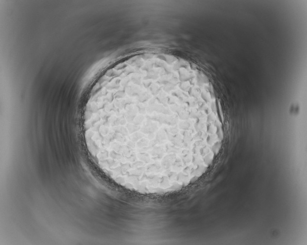 X0000114070149200911161200