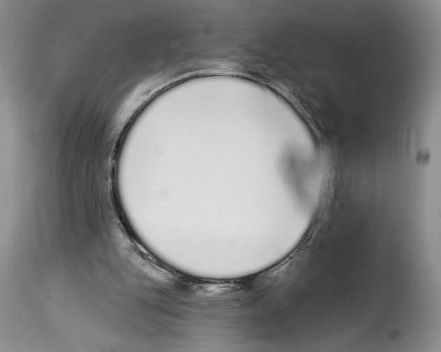 X0000114070151200911161200