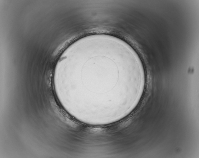 X0000114070153200911161200