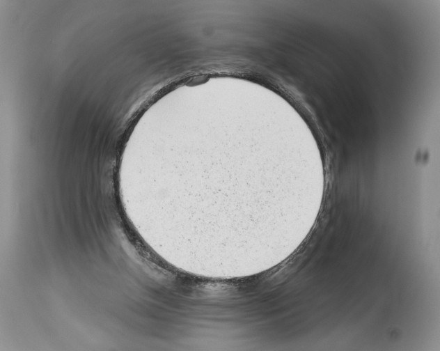 X0000114070154200911161200