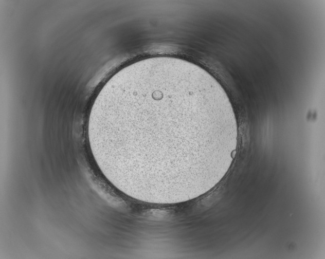 X0000114070159200911161200