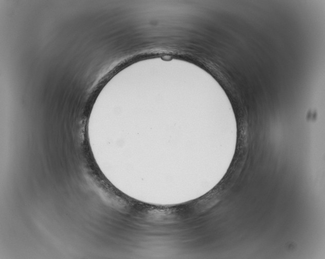 X0000114070160200911161200