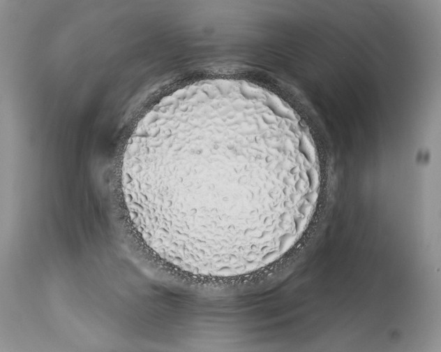 X0000114070161200911161200