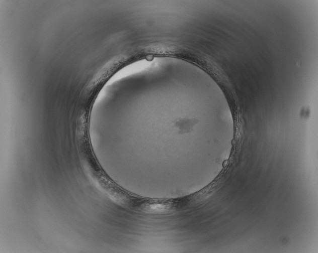 X0000114070163200911161200