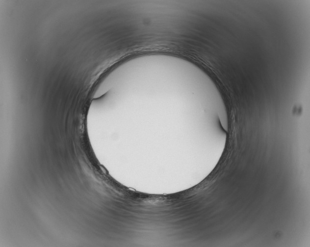 X0000114070164200911161201