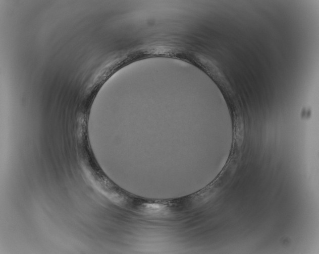 X0000114070167200911161201