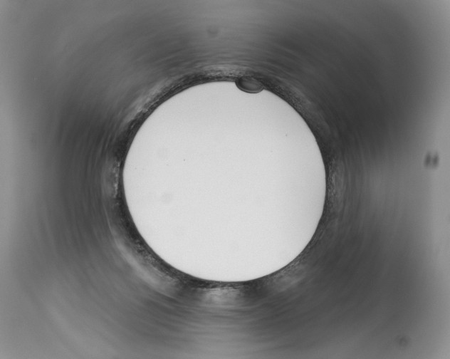 X0000114070168200911161201