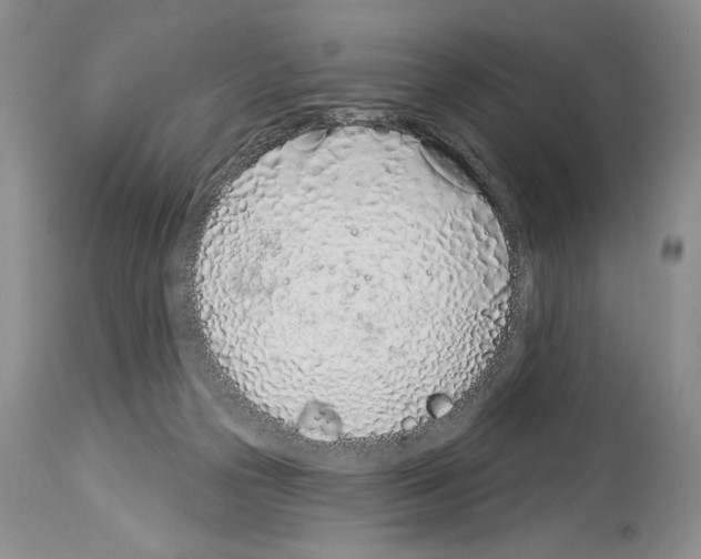 X0000114070169200911161201