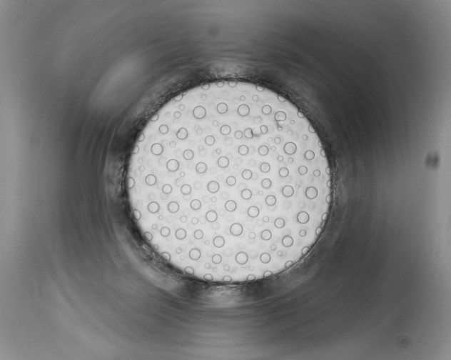 X0000114070171200911161201