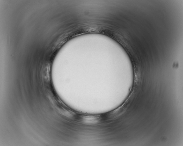 X0000114070175200911161201