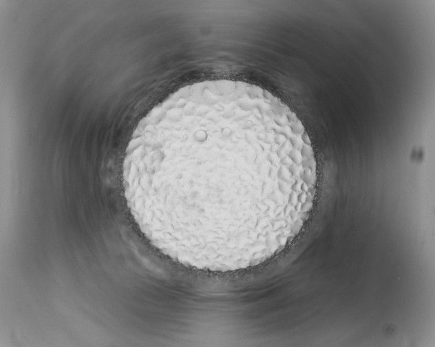 X0000114070177200911161201