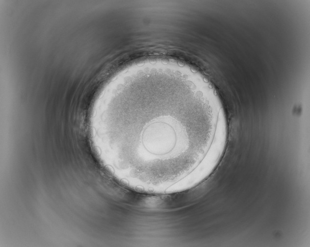 X0000114070178200911161201