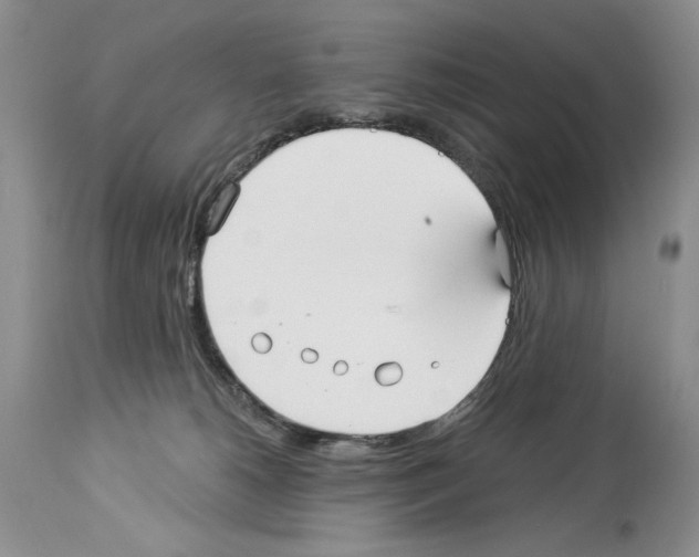 X0000114070180200911161201