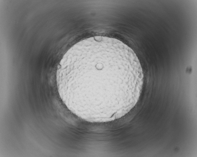 X0000114070181200911161201