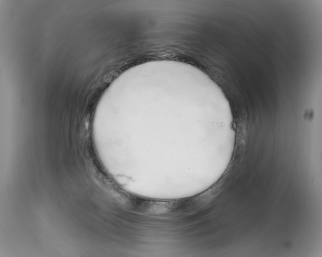 X0000114070182200911161201