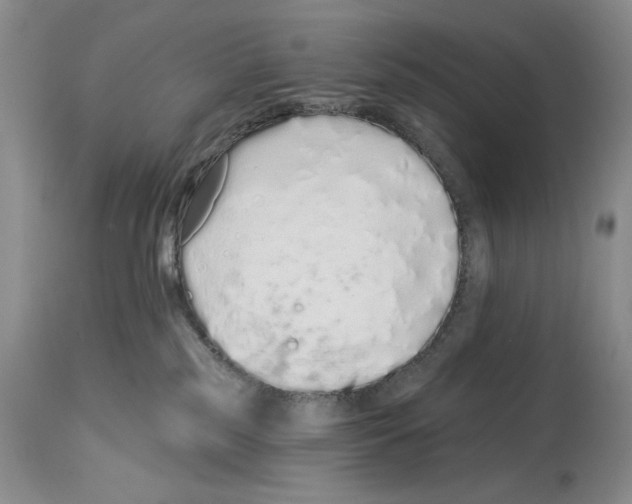 X0000114070185200911161201