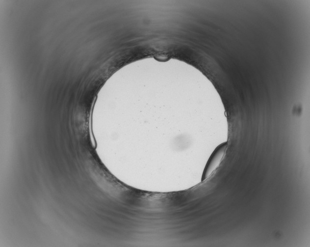 X0000114070186200911161201