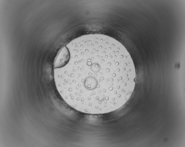 X0000114070187200911161201