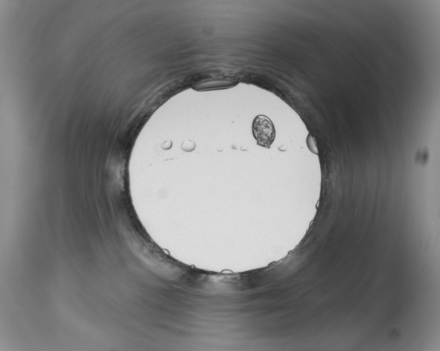 X0000114070188200911161201