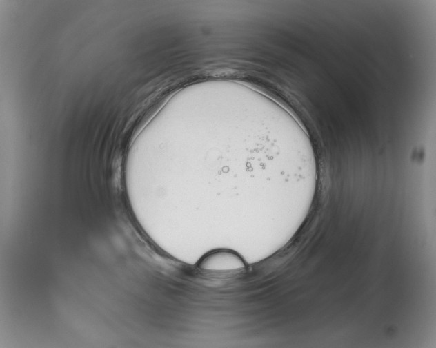 X0000114070189200911161201