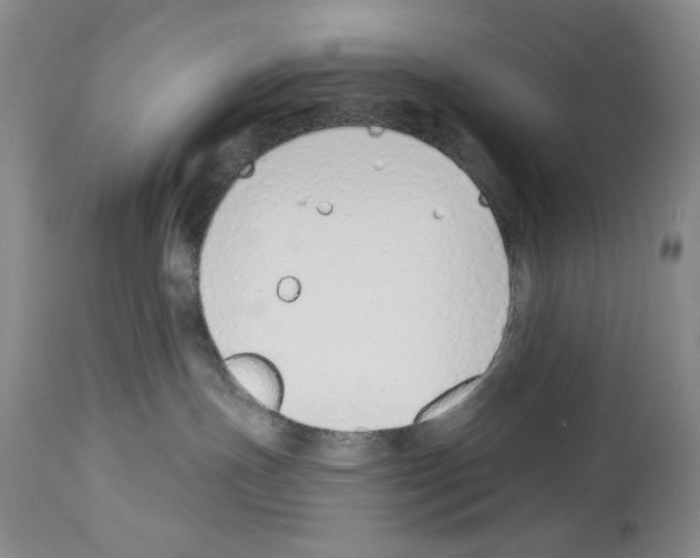 X0000114070191200911161201