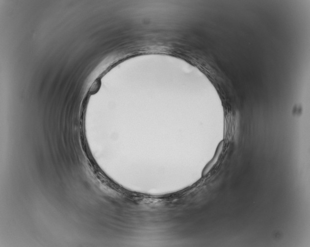 X0000114070195200911161200