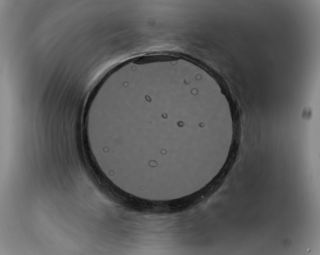 X0000114070196200911161200