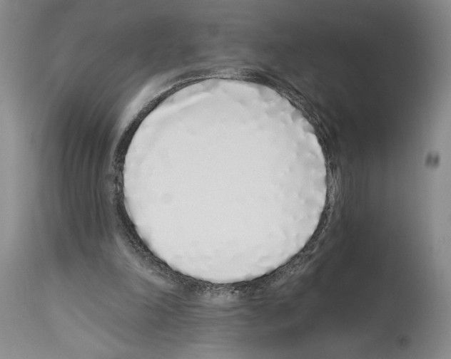 X0000114070198200911161200