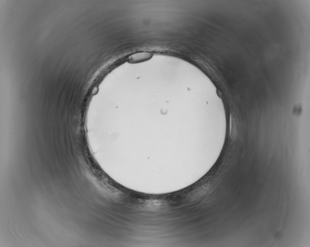 X0000114070204200911161200