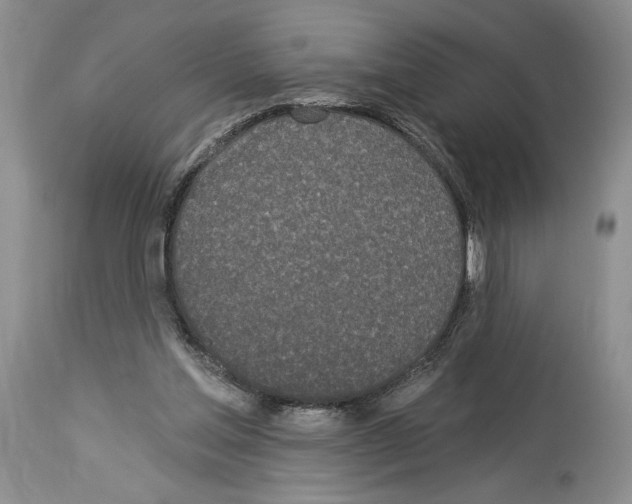 X0000114070205200911161200