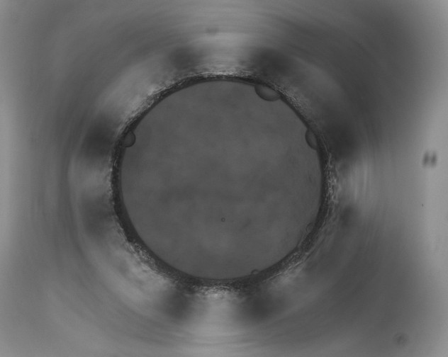 X0000114070207200911161200