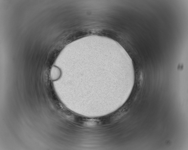 X0000114070222200911161200