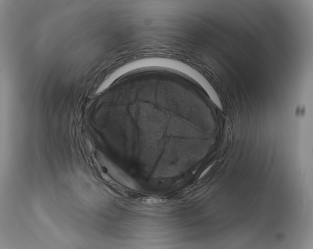 X0000114070223200911161200