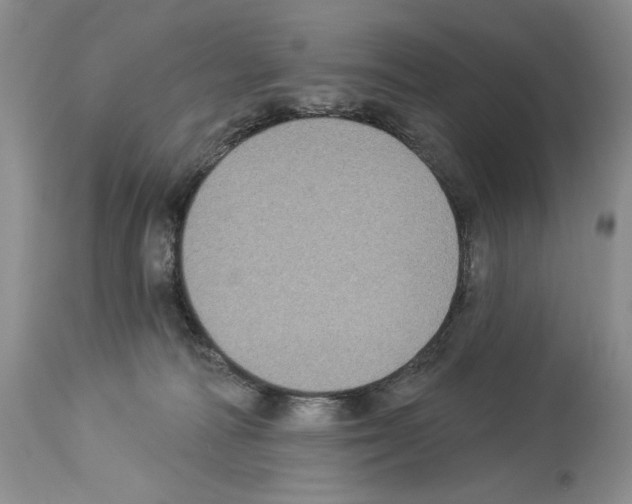 X0000114070226200911161200