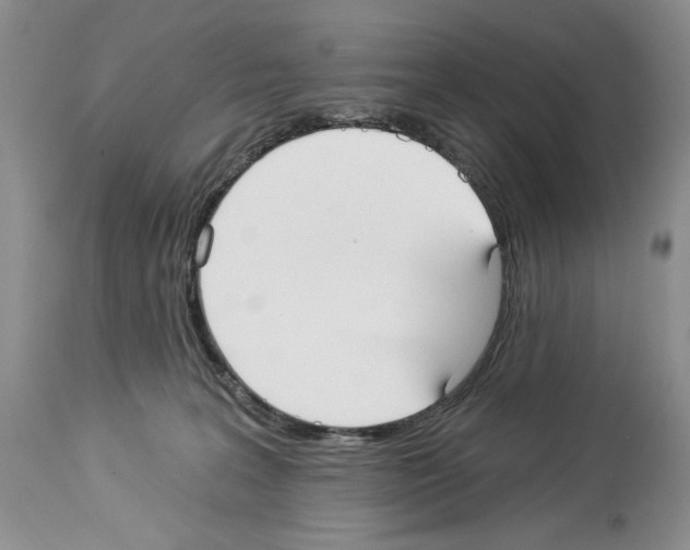 X0000114070227200911161200