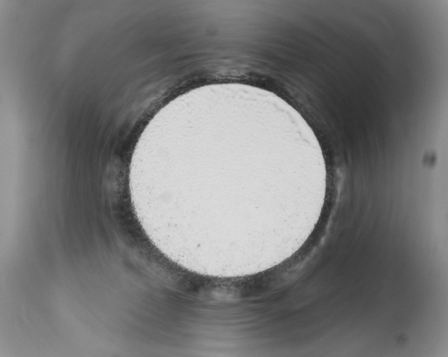 X0000114070228200911161200