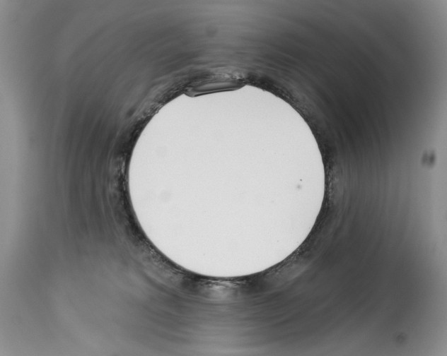 X0000114070229200911161200