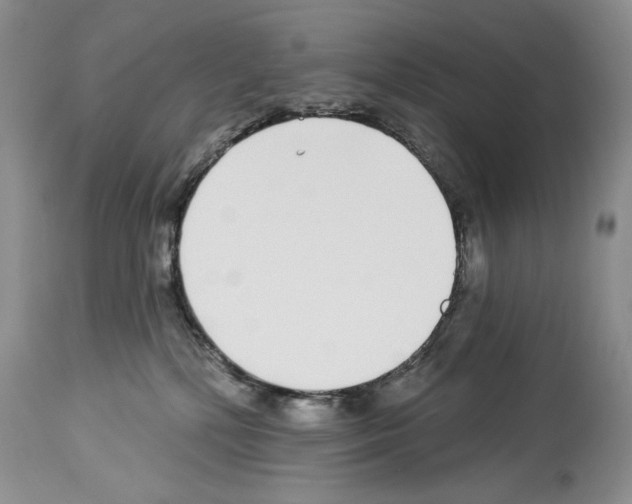 X0000114070232200911161200